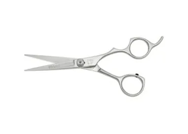 Forbici Silver misura 6,0''