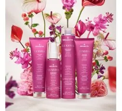 Medavita Luxviva Color Care Kit Natale